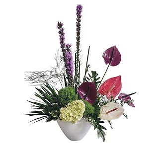 Exotic Bowl of Flowers